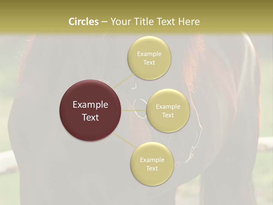 A Brown Horse Standing Next To A Wooden Fence PowerPoint Template