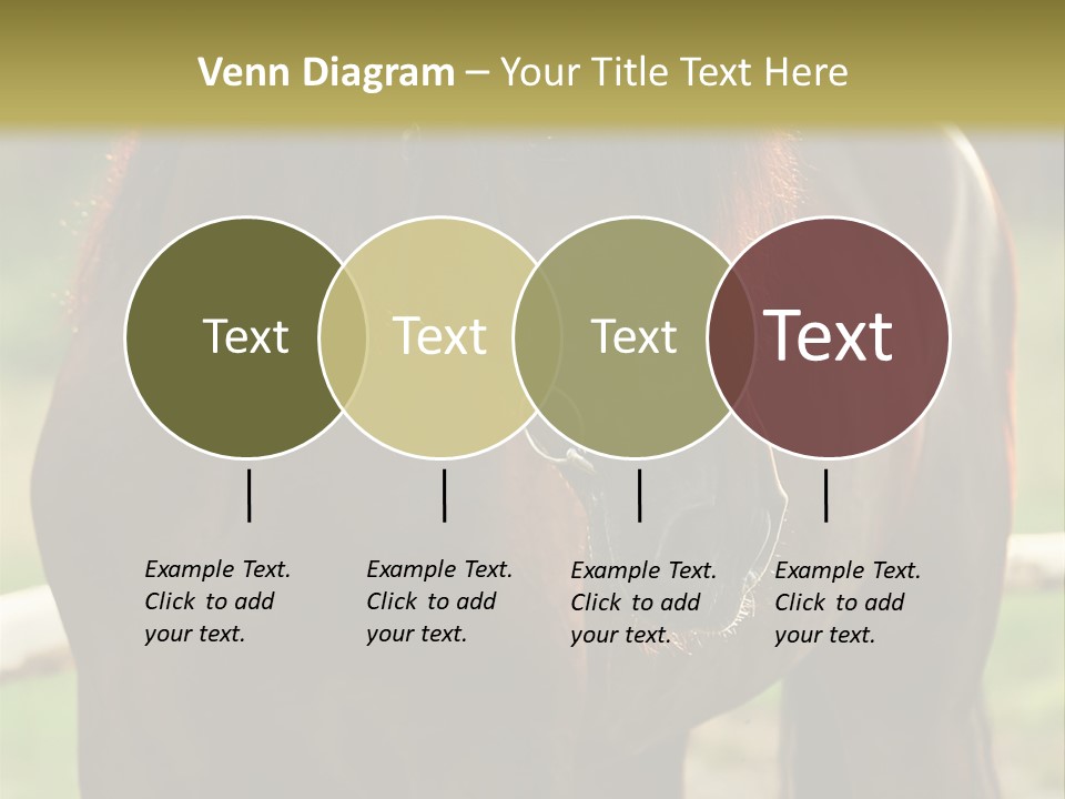 A Brown Horse Standing Next To A Wooden Fence PowerPoint Template