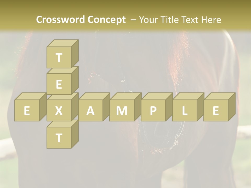 A Brown Horse Standing Next To A Wooden Fence PowerPoint Template