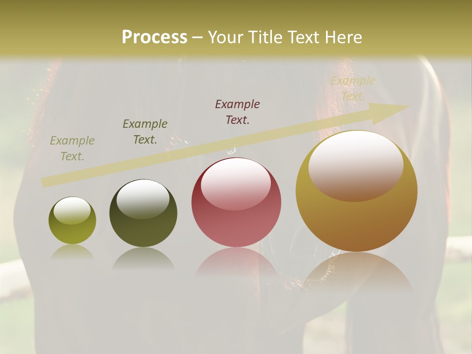 A Brown Horse Standing Next To A Wooden Fence PowerPoint Template