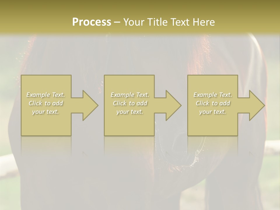 A Brown Horse Standing Next To A Wooden Fence PowerPoint Template