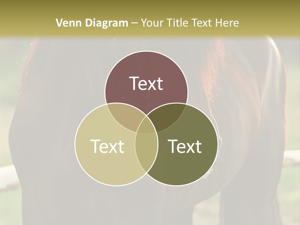 A Brown Horse Standing Next To A Wooden Fence PowerPoint Template