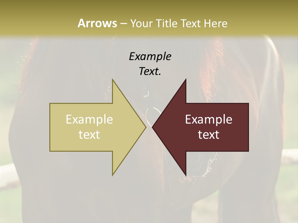 A Brown Horse Standing Next To A Wooden Fence PowerPoint Template