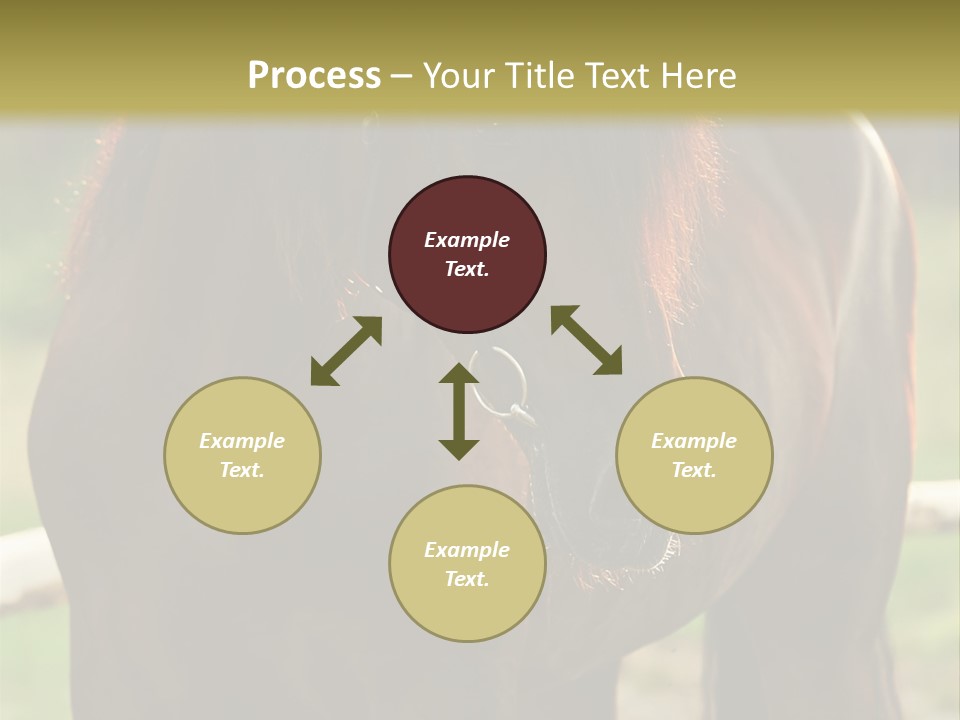 A Brown Horse Standing Next To A Wooden Fence PowerPoint Template