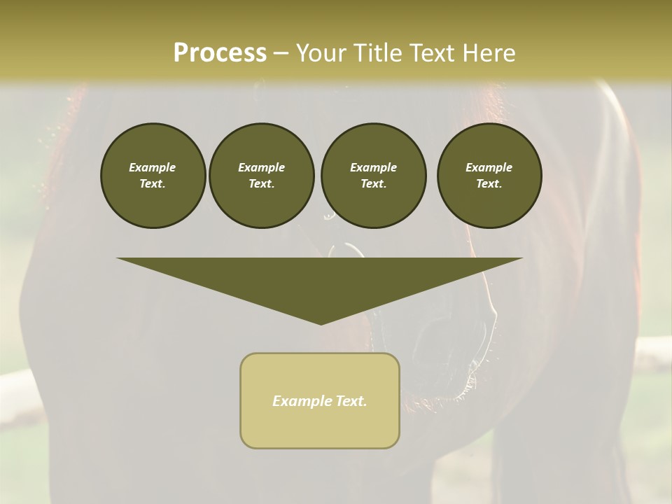 A Brown Horse Standing Next To A Wooden Fence PowerPoint Template