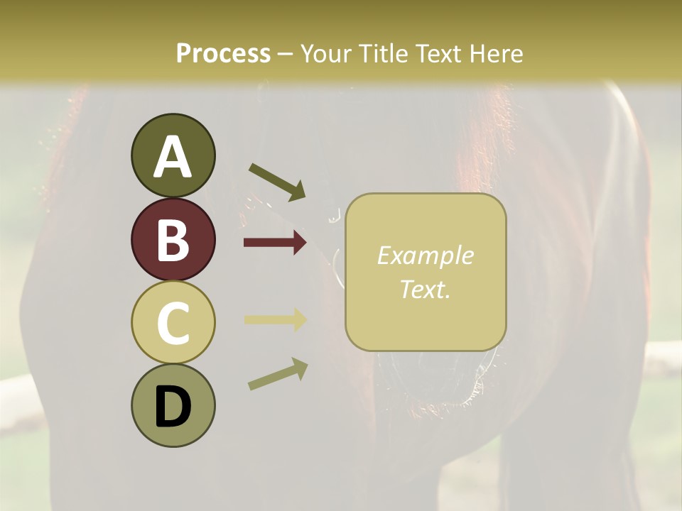 A Brown Horse Standing Next To A Wooden Fence PowerPoint Template