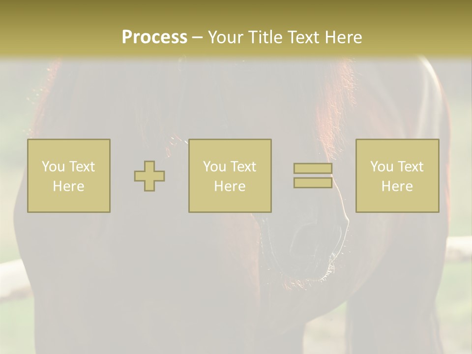A Brown Horse Standing Next To A Wooden Fence PowerPoint Template