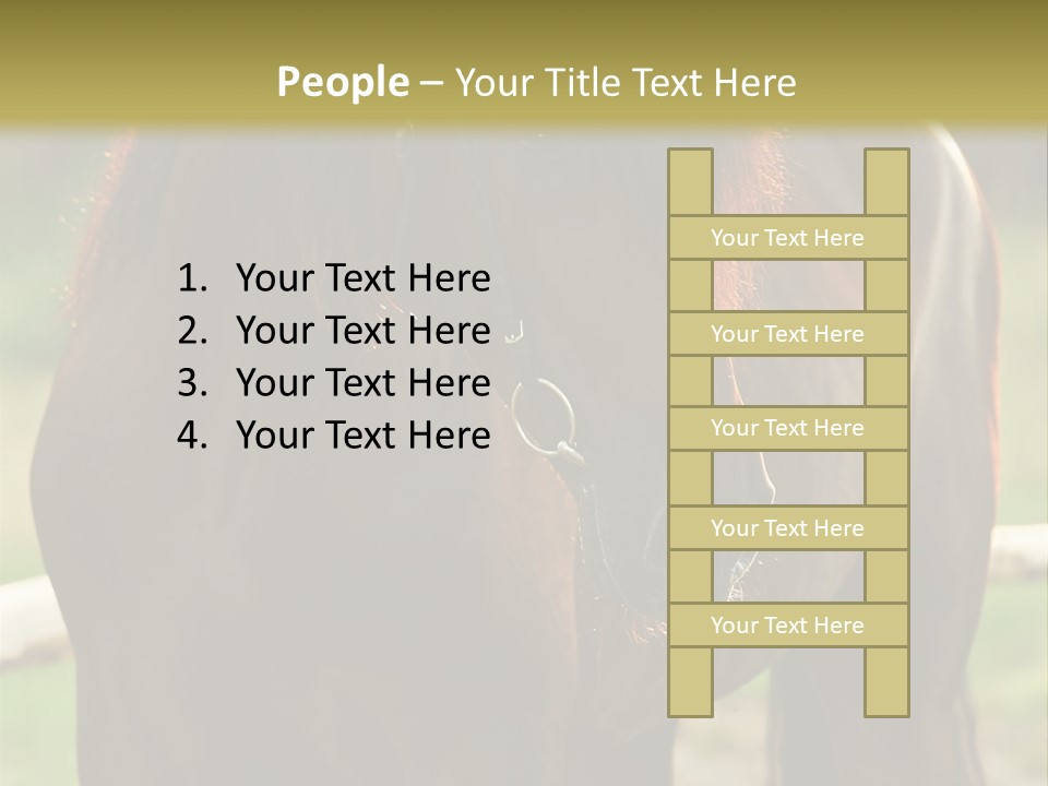 A Brown Horse Standing Next To A Wooden Fence PowerPoint Template