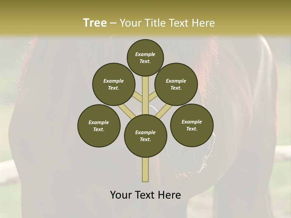 A Brown Horse Standing Next To A Wooden Fence PowerPoint Template