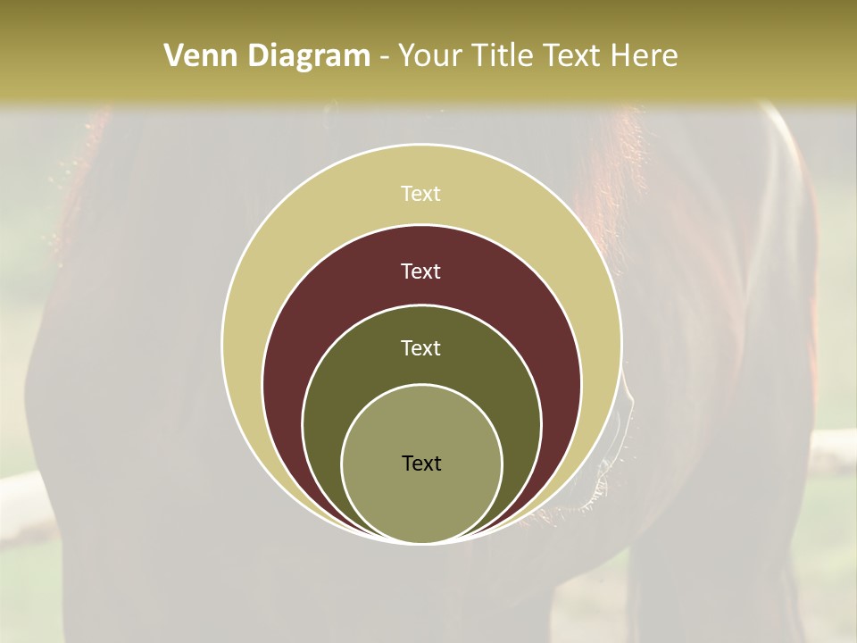 A Brown Horse Standing Next To A Wooden Fence PowerPoint Template