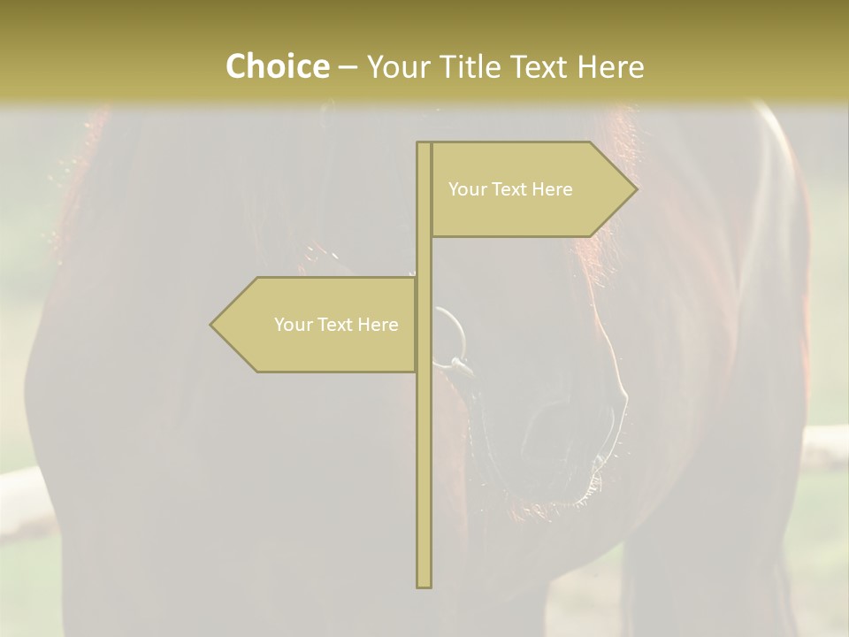 A Brown Horse Standing Next To A Wooden Fence PowerPoint Template