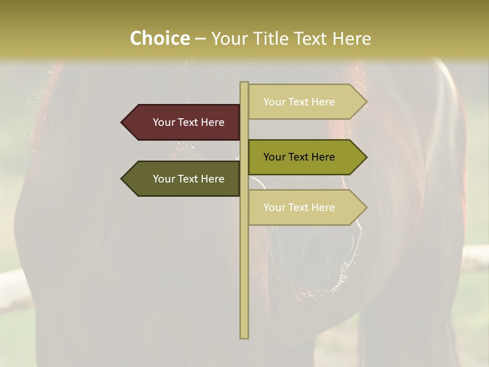 A Brown Horse Standing Next To A Wooden Fence PowerPoint Template