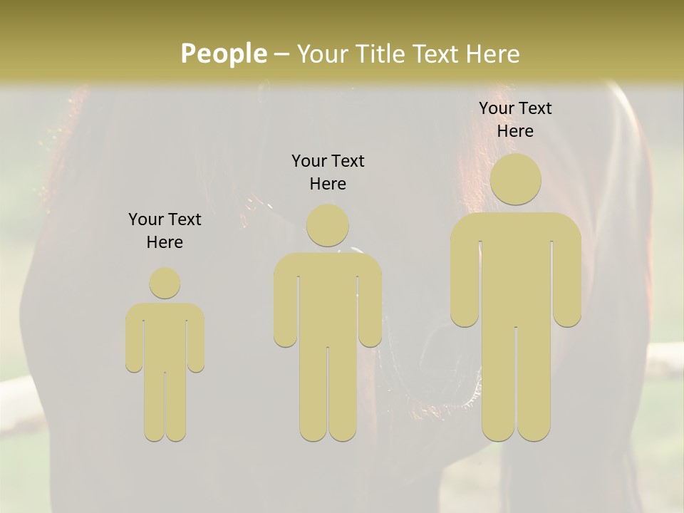 A Brown Horse Standing Next To A Wooden Fence PowerPoint Template