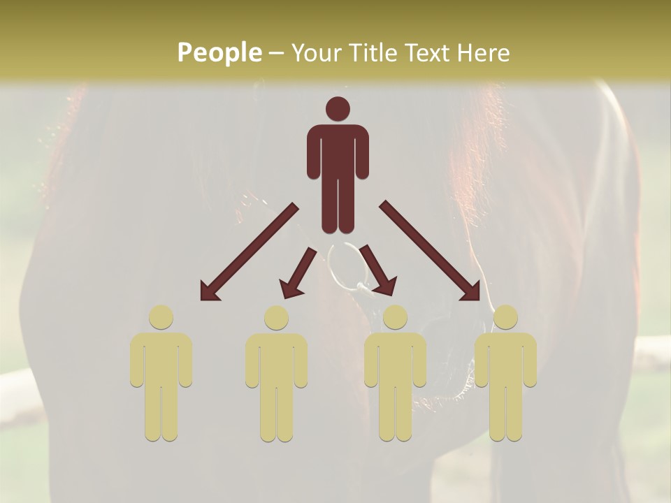 A Brown Horse Standing Next To A Wooden Fence PowerPoint Template