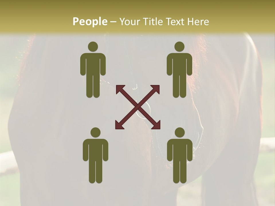 A Brown Horse Standing Next To A Wooden Fence PowerPoint Template