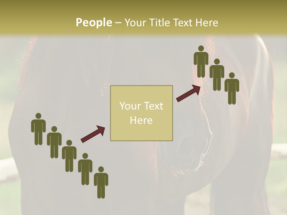 A Brown Horse Standing Next To A Wooden Fence PowerPoint Template