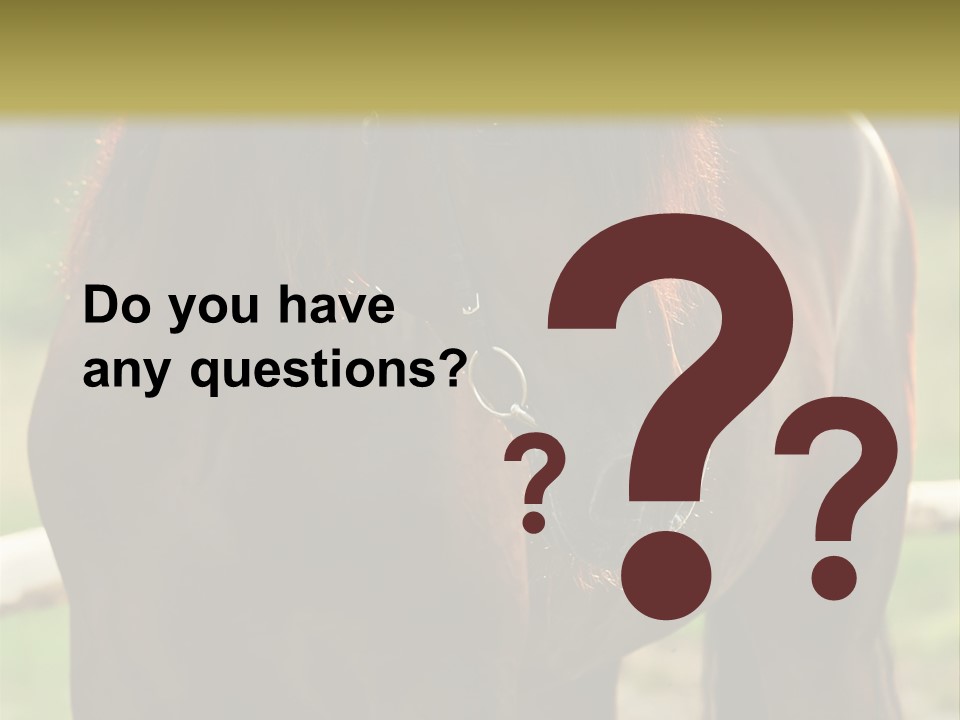 A Brown Horse Standing Next To A Wooden Fence PowerPoint Template