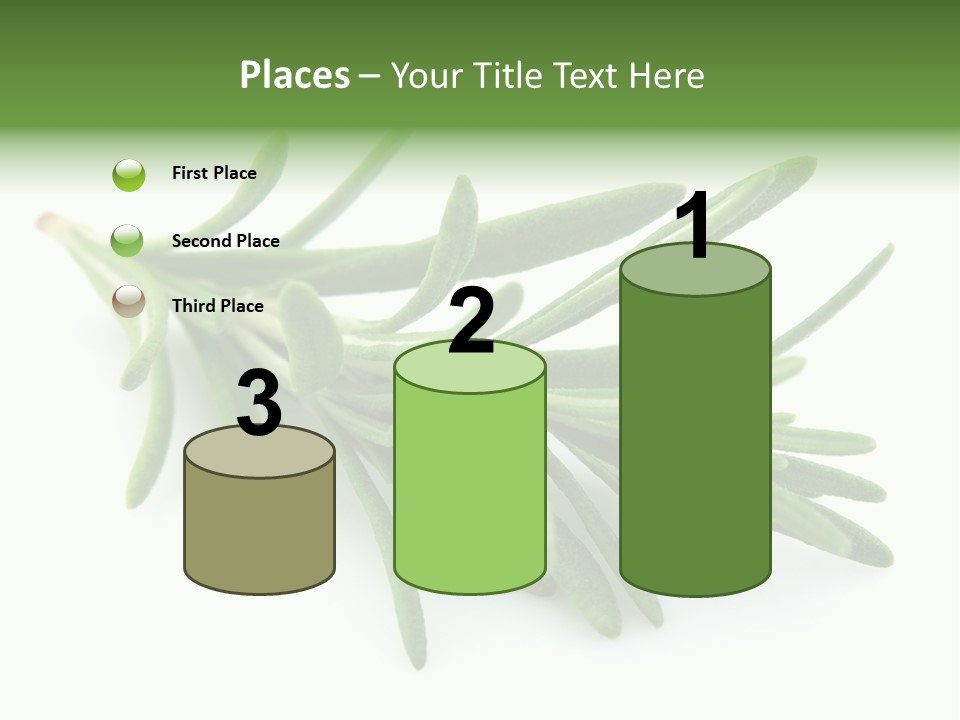 A Bunch Of Green Leaves On A White Background PowerPoint Template