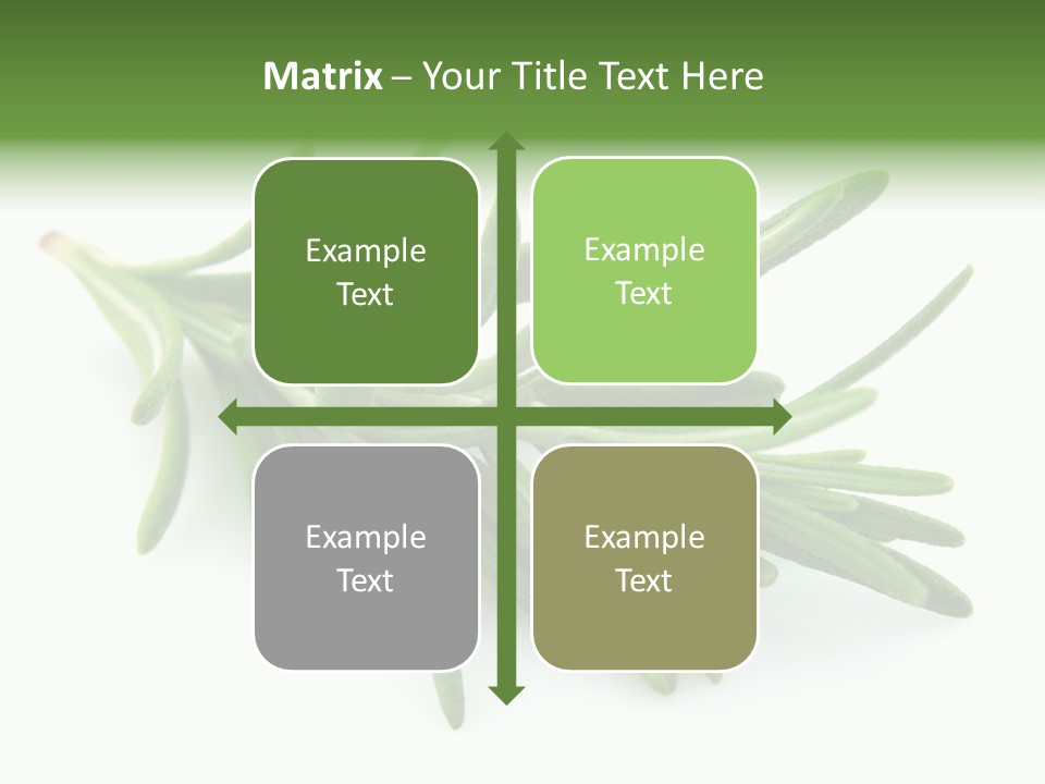 A Bunch Of Green Leaves On A White Background PowerPoint Template