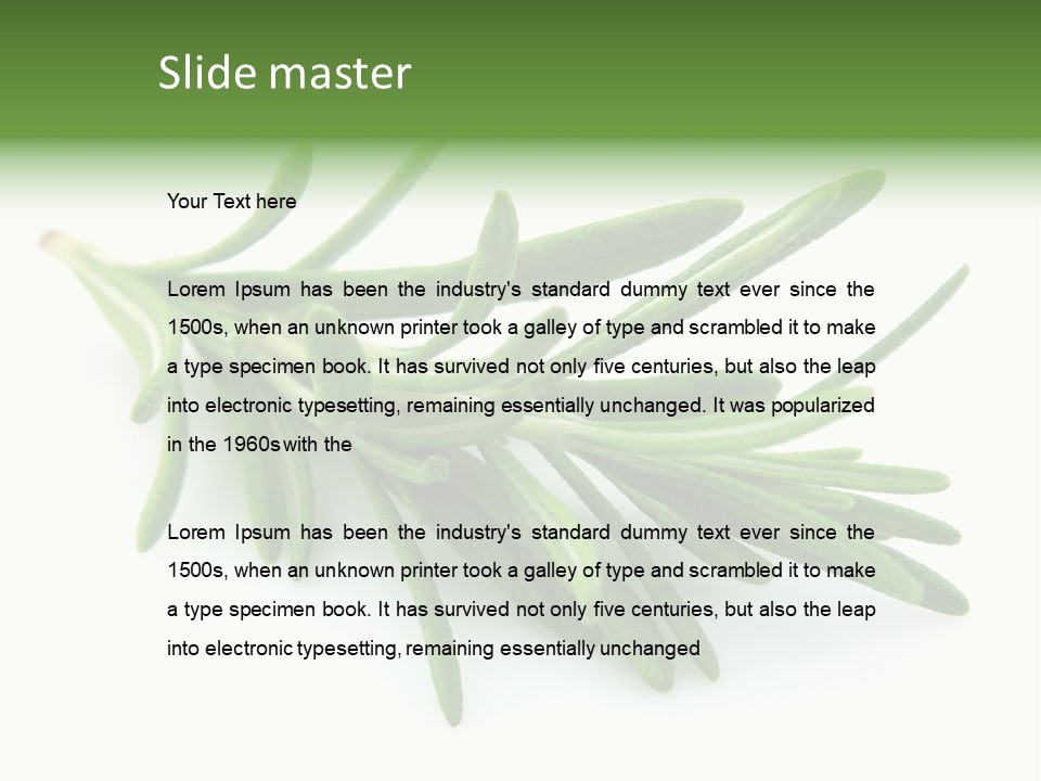 A Bunch Of Green Leaves On A White Background PowerPoint Template