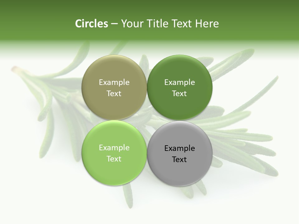 A Bunch Of Green Leaves On A White Background PowerPoint Template