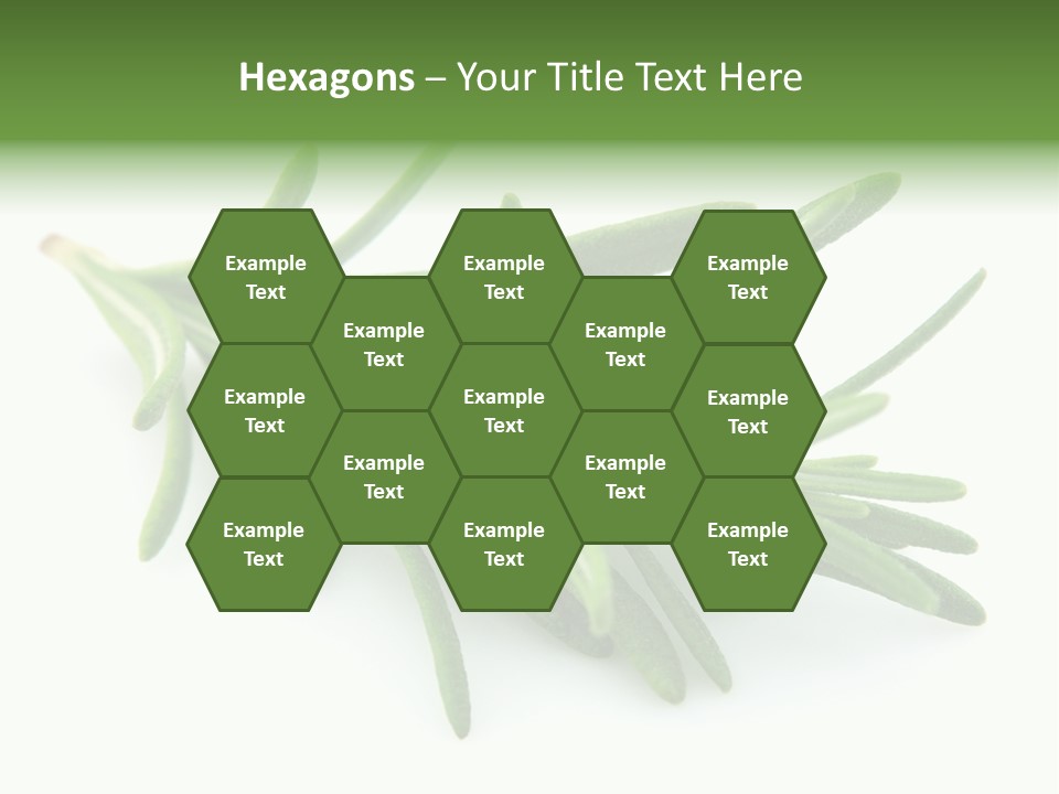 A Bunch Of Green Leaves On A White Background PowerPoint Template