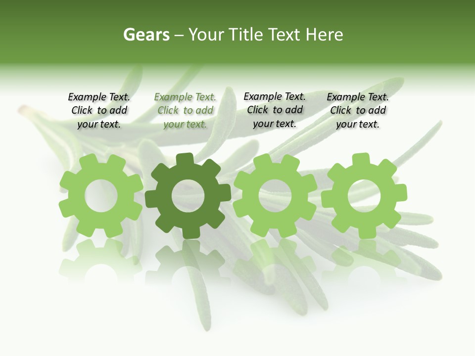 A Bunch Of Green Leaves On A White Background PowerPoint Template