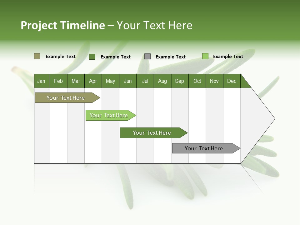 A Bunch Of Green Leaves On A White Background PowerPoint Template