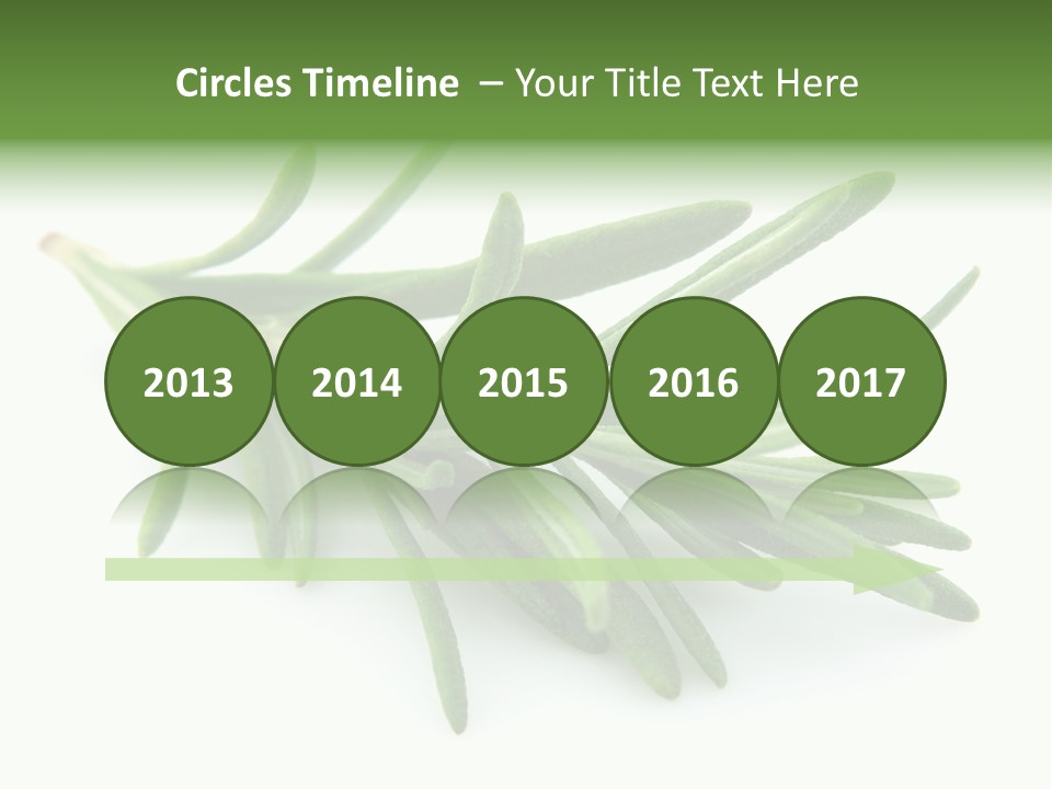 A Bunch Of Green Leaves On A White Background PowerPoint Template