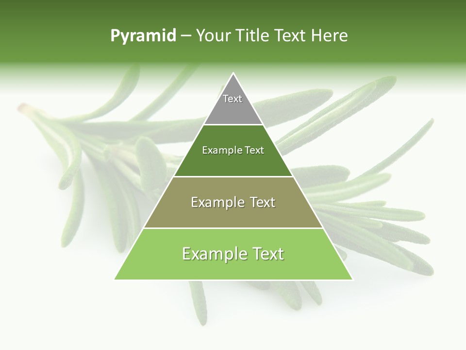 A Bunch Of Green Leaves On A White Background PowerPoint Template