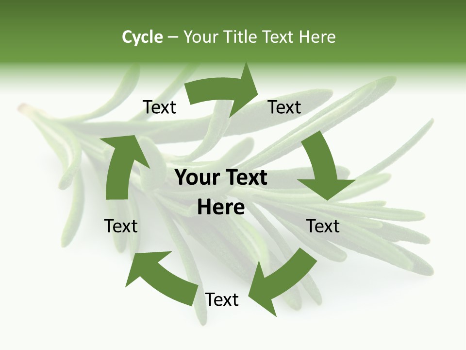 A Bunch Of Green Leaves On A White Background PowerPoint Template