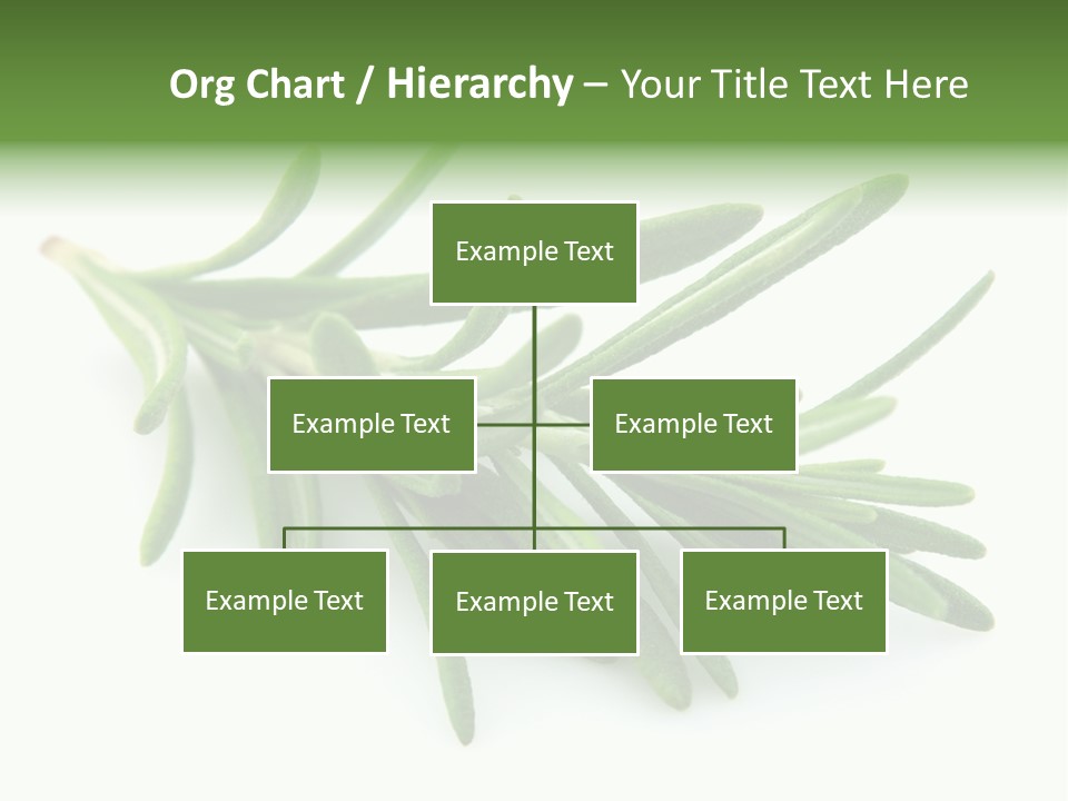 A Bunch Of Green Leaves On A White Background PowerPoint Template