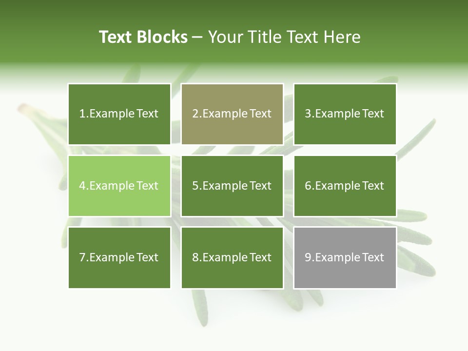 A Bunch Of Green Leaves On A White Background PowerPoint Template