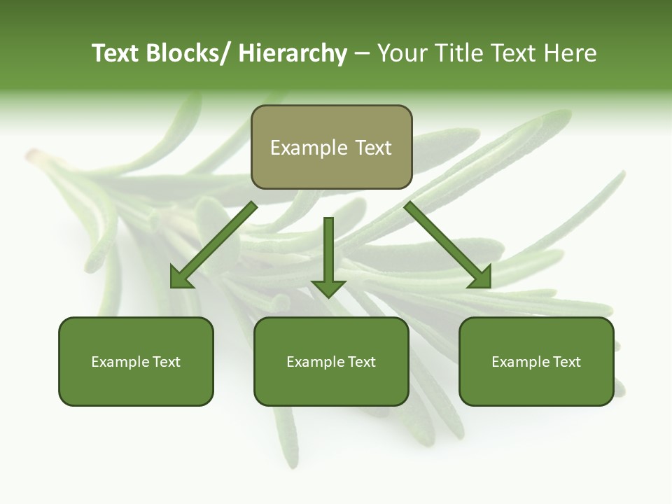 A Bunch Of Green Leaves On A White Background PowerPoint Template