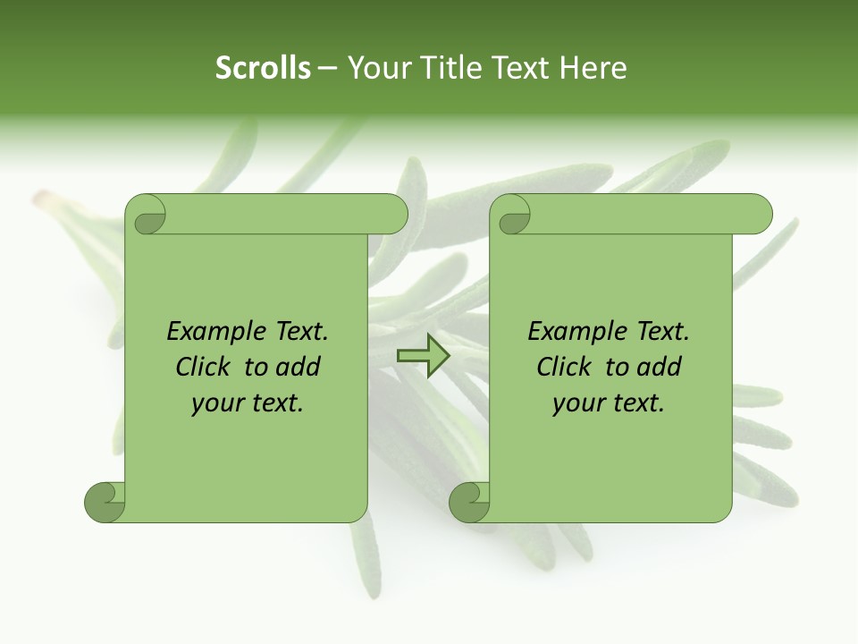 A Bunch Of Green Leaves On A White Background PowerPoint Template