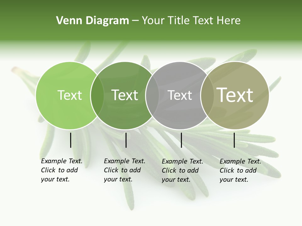 A Bunch Of Green Leaves On A White Background PowerPoint Template