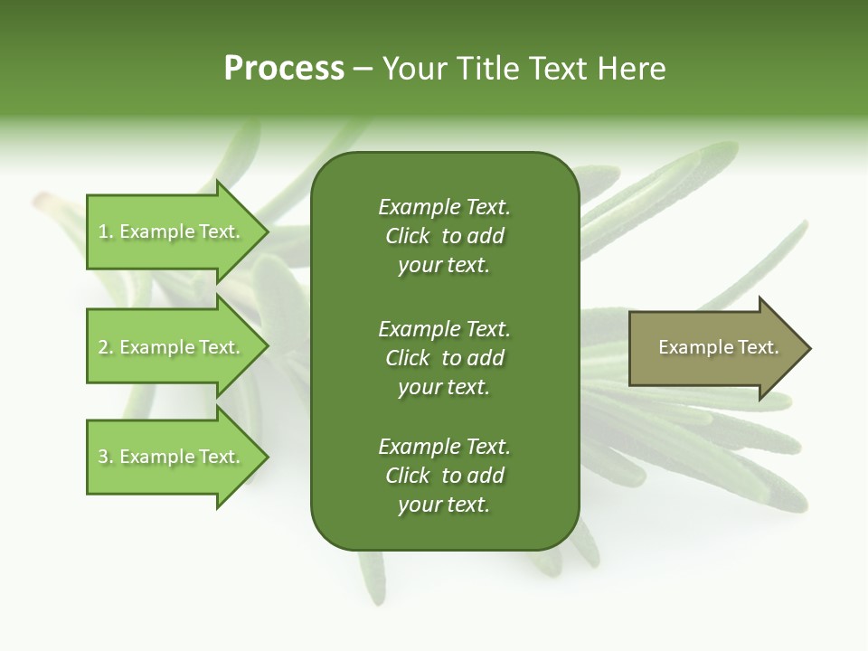A Bunch Of Green Leaves On A White Background PowerPoint Template