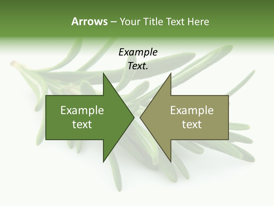 A Bunch Of Green Leaves On A White Background PowerPoint Template