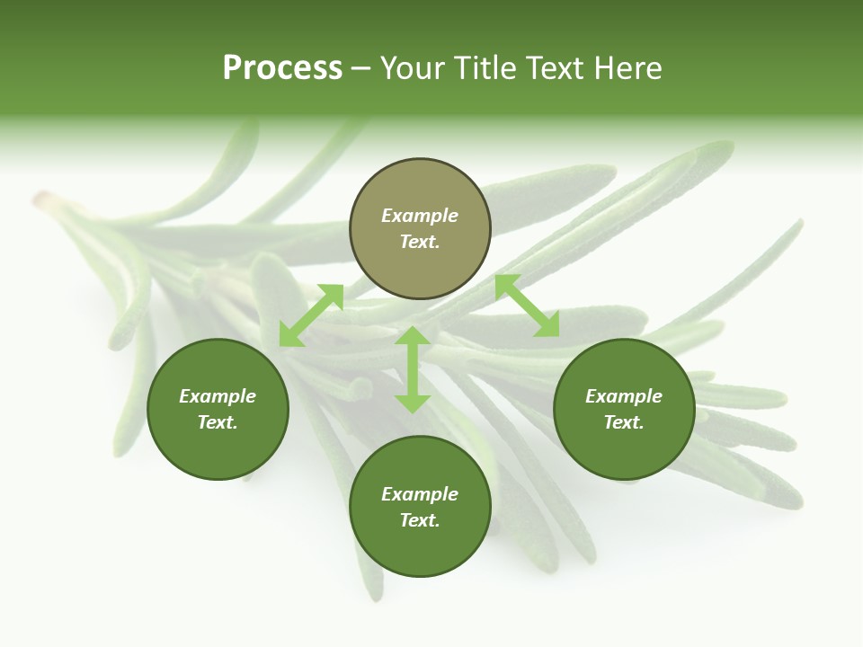 A Bunch Of Green Leaves On A White Background PowerPoint Template