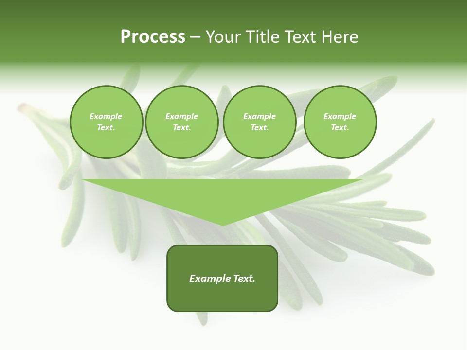 A Bunch Of Green Leaves On A White Background PowerPoint Template