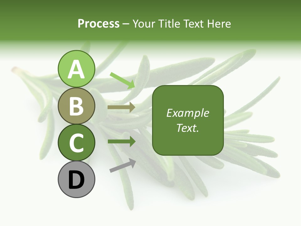 A Bunch Of Green Leaves On A White Background PowerPoint Template