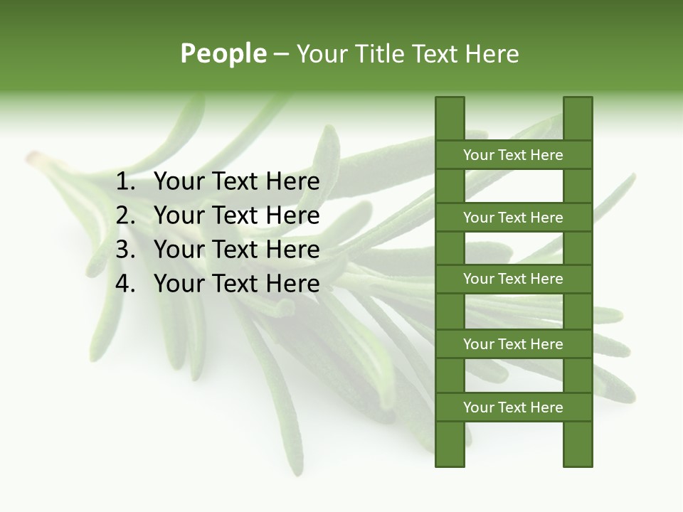 A Bunch Of Green Leaves On A White Background PowerPoint Template