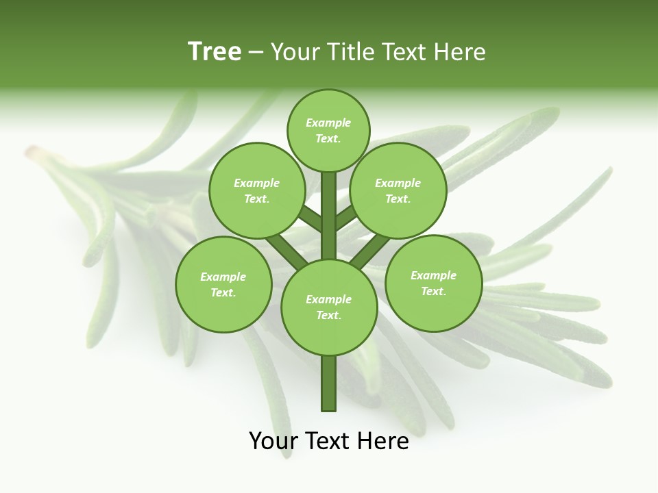 A Bunch Of Green Leaves On A White Background PowerPoint Template