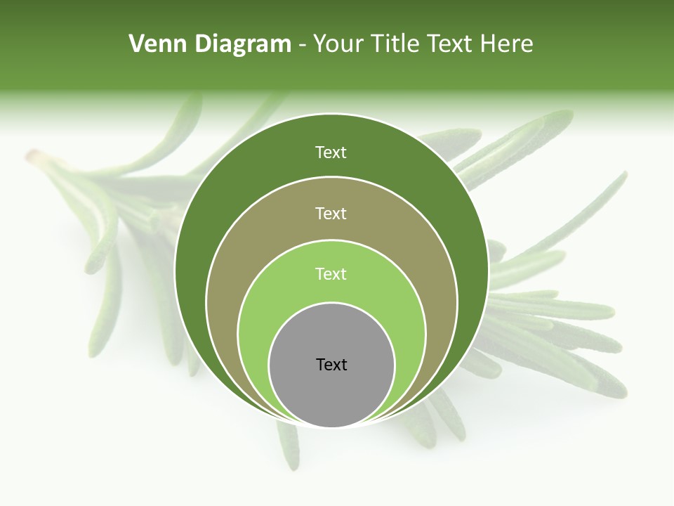 A Bunch Of Green Leaves On A White Background PowerPoint Template