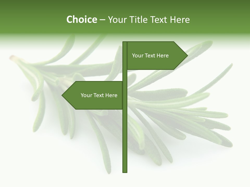 A Bunch Of Green Leaves On A White Background PowerPoint Template