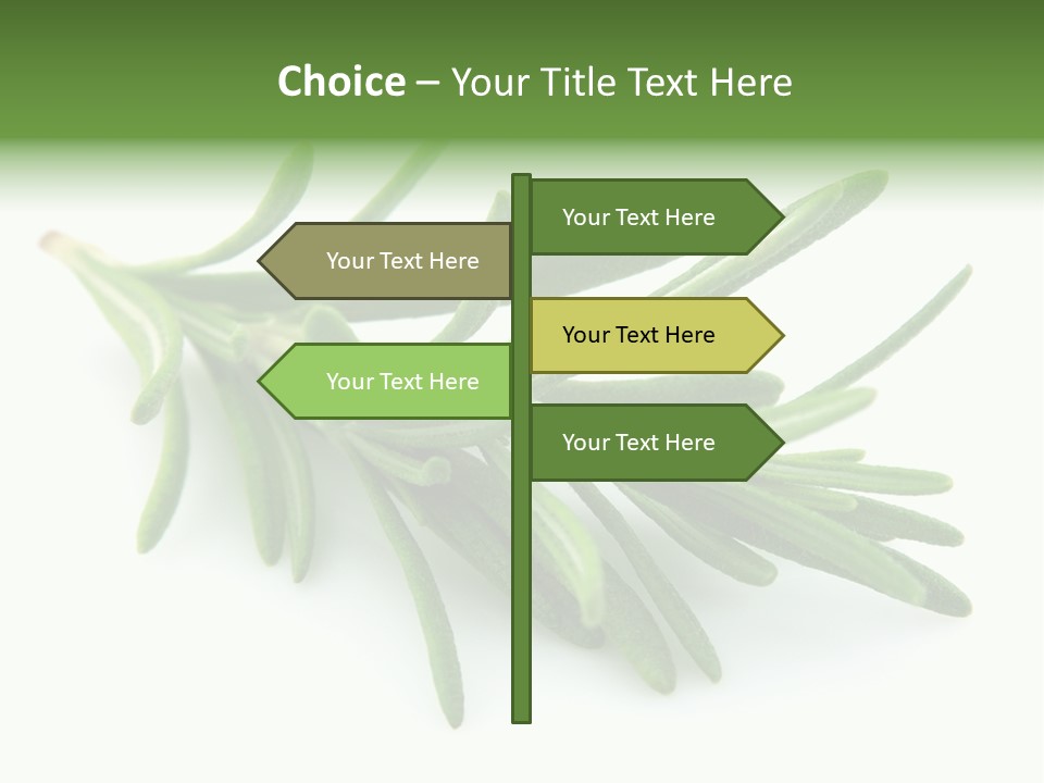 A Bunch Of Green Leaves On A White Background PowerPoint Template