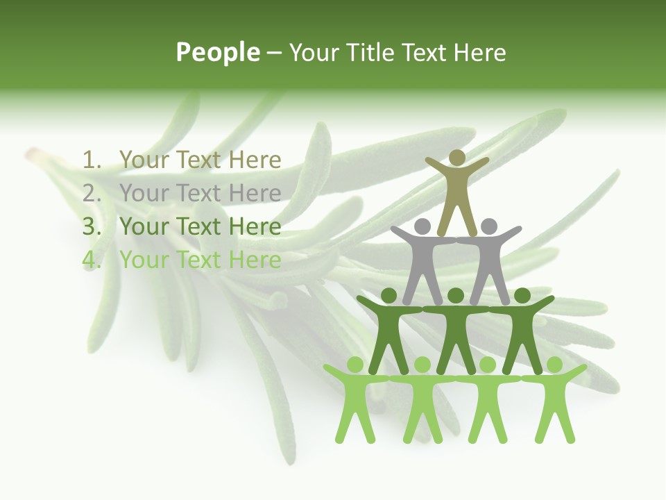 A Bunch Of Green Leaves On A White Background PowerPoint Template