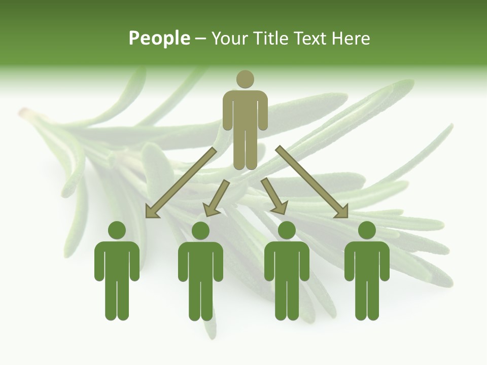 A Bunch Of Green Leaves On A White Background PowerPoint Template
