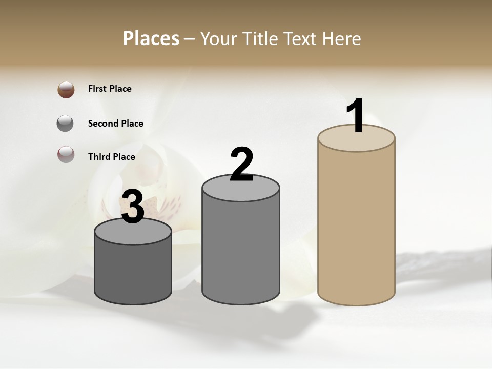 A White Orchid On A White Background Powerpoint Template PowerPoint Template