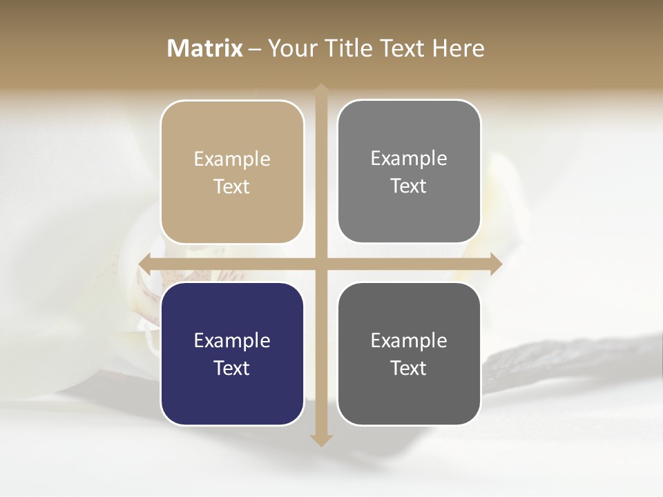 A White Orchid On A White Background Powerpoint Template PowerPoint Template